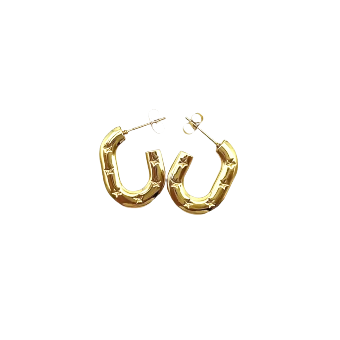 Stargazer Earrings