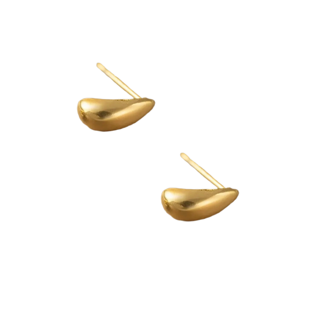 Sophisticated Earrings