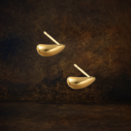 Sophisticated Earrings