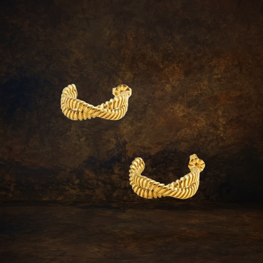 Twist and Turn Earrings