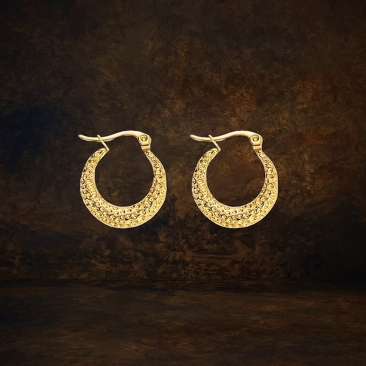 Eternal Moments Earrings